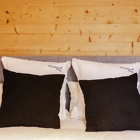 Apartment Le Belalp By Squarebreak Les Deux Alpes
